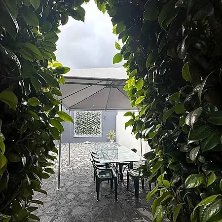 Azor International * Relva (Azores)